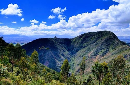 Paraiso Bienes Raices - Majui