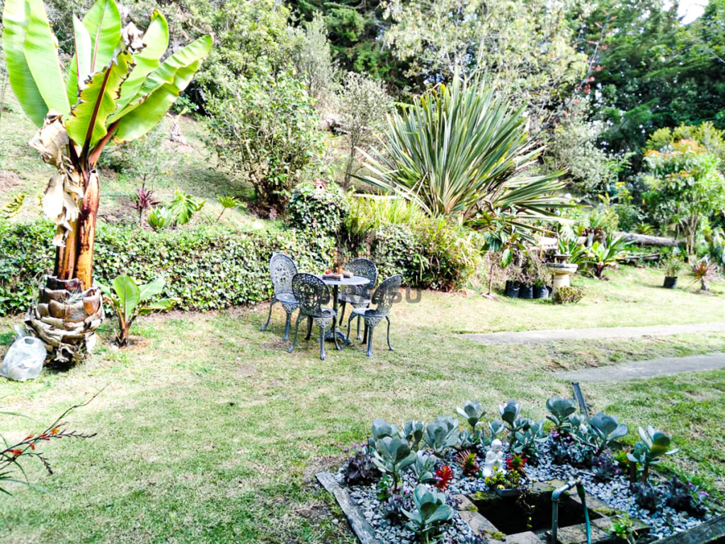3 Bedrooms Bedrooms, ,Casa,Venta,1024