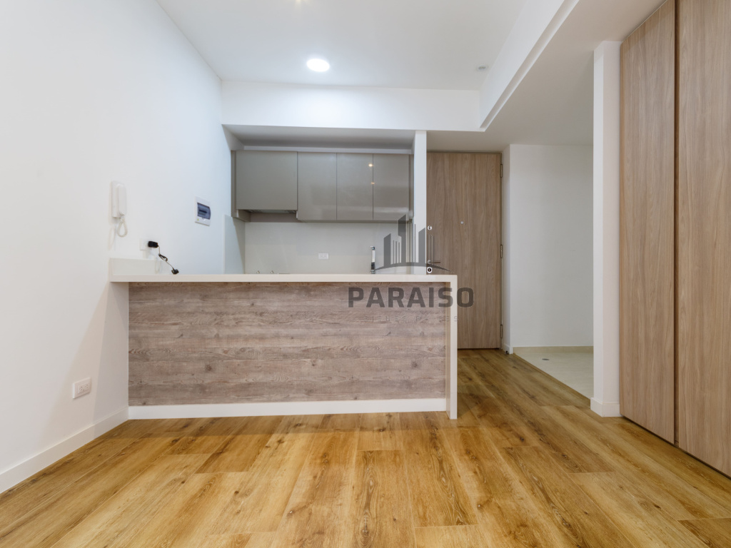 1 Bedroom Bedrooms, ,1 BathroomBathrooms,Apartaestudio,Venta,3,1036