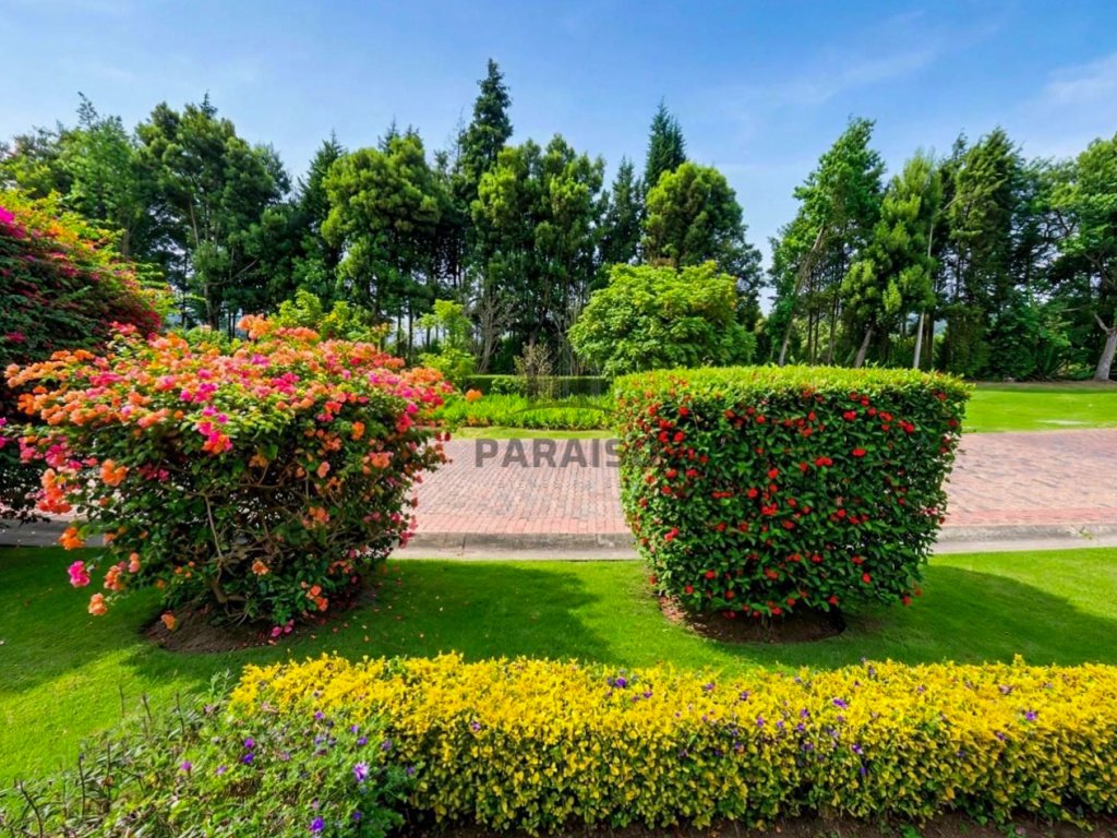 6 Bedrooms Bedrooms, 0 ,7 BathroomsBathrooms,Casa,Venta,0,1073 6 Bedrooms Bedrooms, 0 ,7 BathroomsBathrooms,Casa,Venta,0,1073